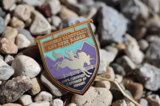 Unicorn Sanctuary and Dude Ranch - Hard Enamel Monster Merchant Pin